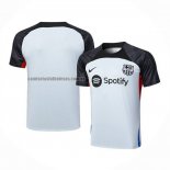 Camiseta de Entrenamiento Barcelona 2023 2024 Gris