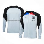 Chaqueta del Barcelona 2023 2024 Gris