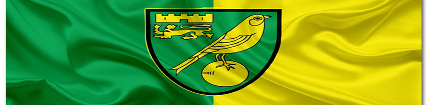 nueva camiseta Norwich City